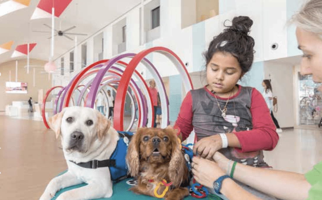 Imagen de una niña junto con dos perros en el Hospital Sant Joan de Déu.